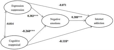 The Mediating Roles of Emotional Regulation on Negative Emotion and Internet Addiction Among Chinese Adolescents From a Development Perspective